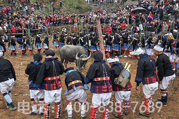 砍牛仪式现场 砍牛仪式现场
